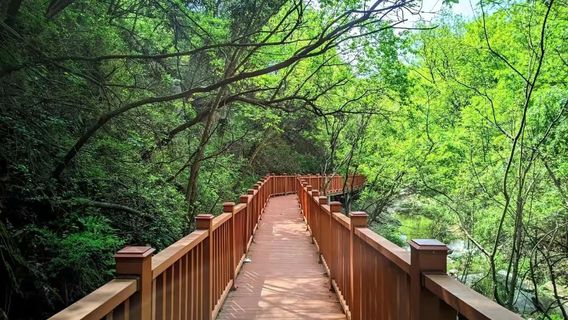 Queshan Zhugou Caiyun Valley