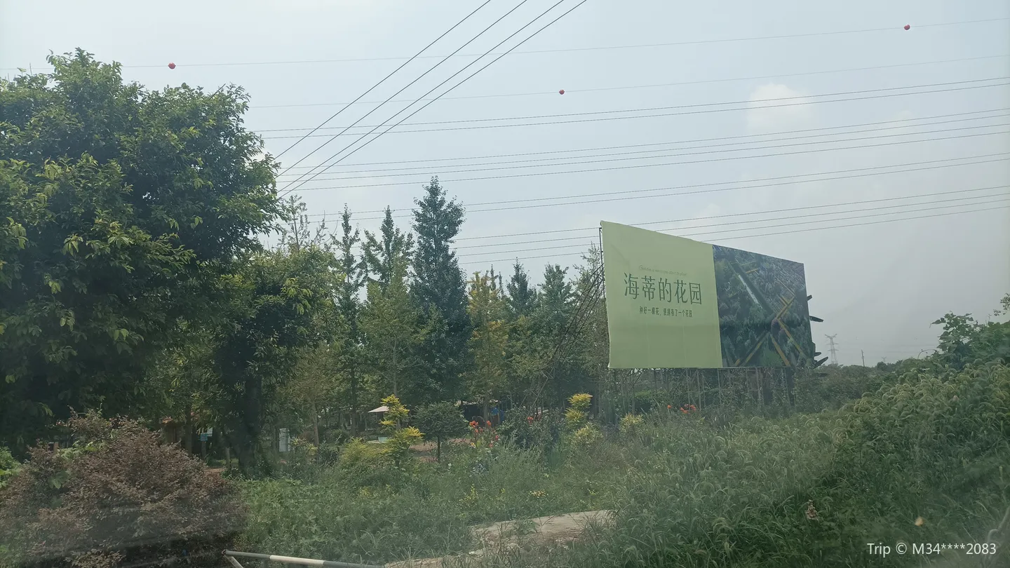 3_Heidi and the garden of the dragonfly