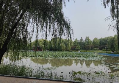 Potoushi Yundong Park