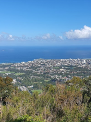 Mount Keira Lookout