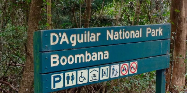 Boombana Mt Nebo Walk