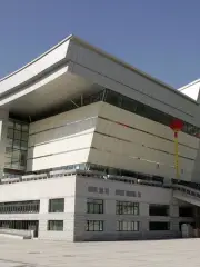 Xinjiang University Gymnasium