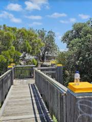 Molineaux Point Lookout