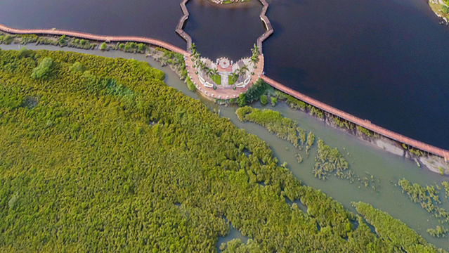 Beibuwan Haiyang Culture Park