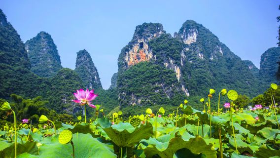 Excursion d'une journée à Guilin, Yangshuo, la rivière Li et la montagne Xianggong en voiture de tourisme avec option de Guide en anglais ou français