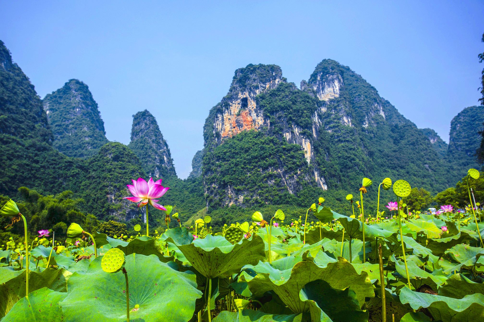 Tour di un giorno a Guilin, Yangshuo, Fiume Li e Xianggong Mountain con auto business e opzione guida in inglese/francese