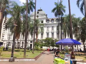 Plaza de Caicedo