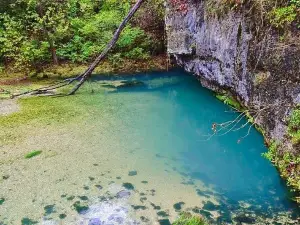 Ha Ha Tonka State Park