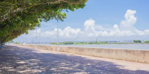 南沙十九湧