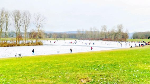 Rheinaue Park