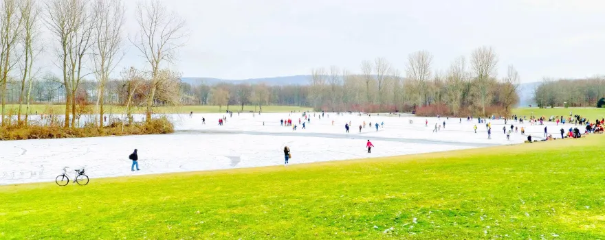 Rheinaue Park