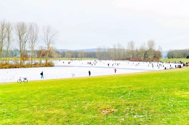 Rheinaue Park