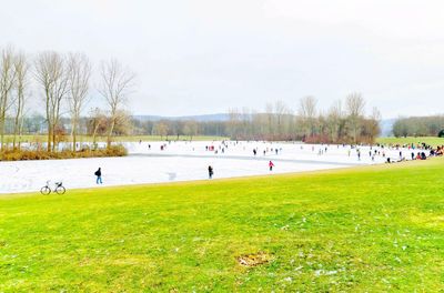 Rheinaue Park