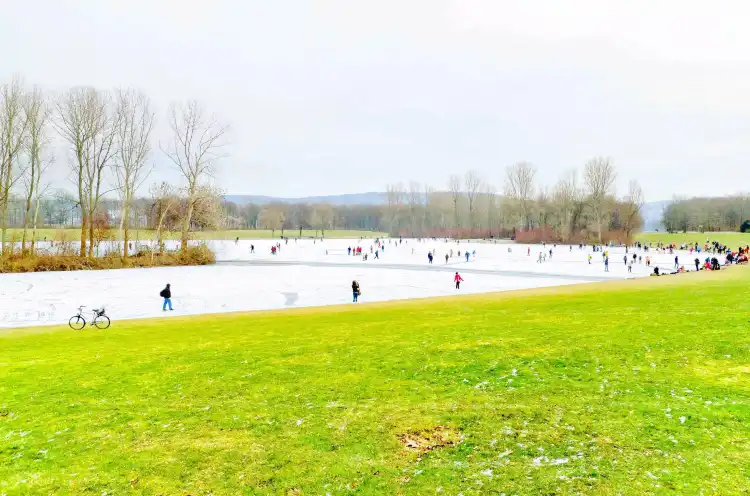 Hotels near Rheinaue Park