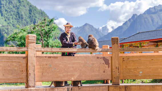 Lin Ze Yesheng Mihou Amusement Park