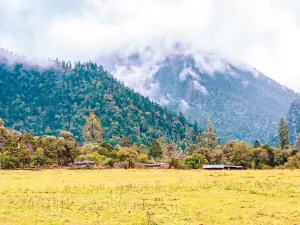 Nanyigou Scenic Area
