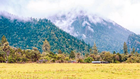 Nanyigou Scenic Area