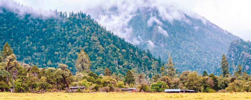 Nanyigou Scenic Area