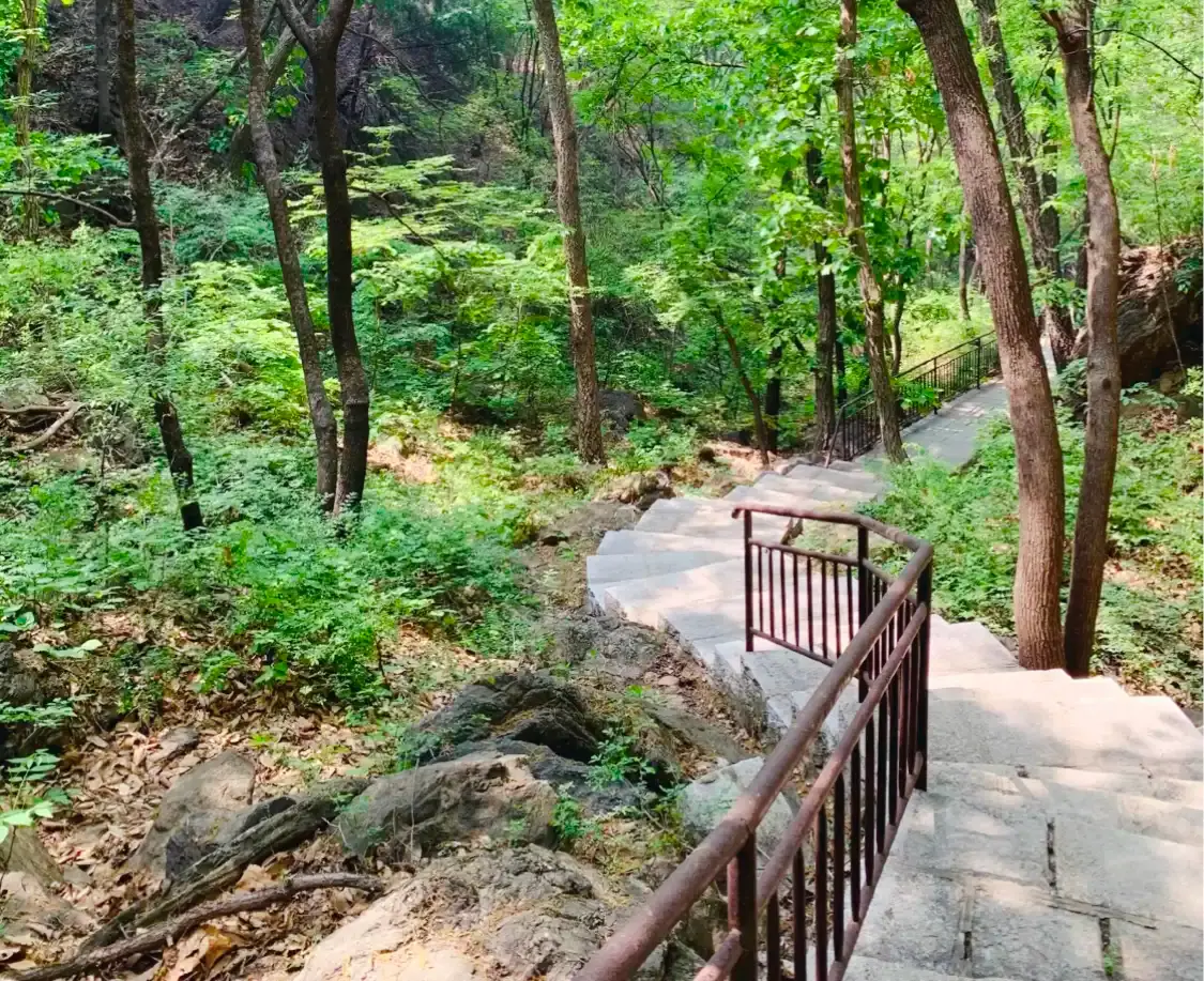 Hotels near Jiulongshan National Forest Park