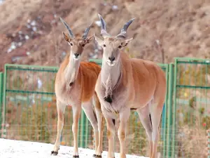 Lanzhou Wildlife Park