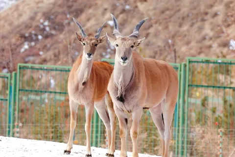 Lanzhou Wildlife Park