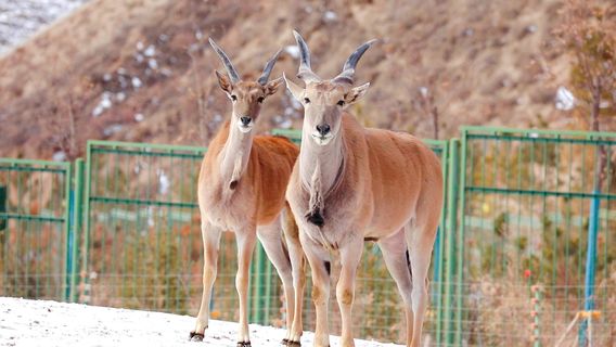 Lanzhou Wildlife Park