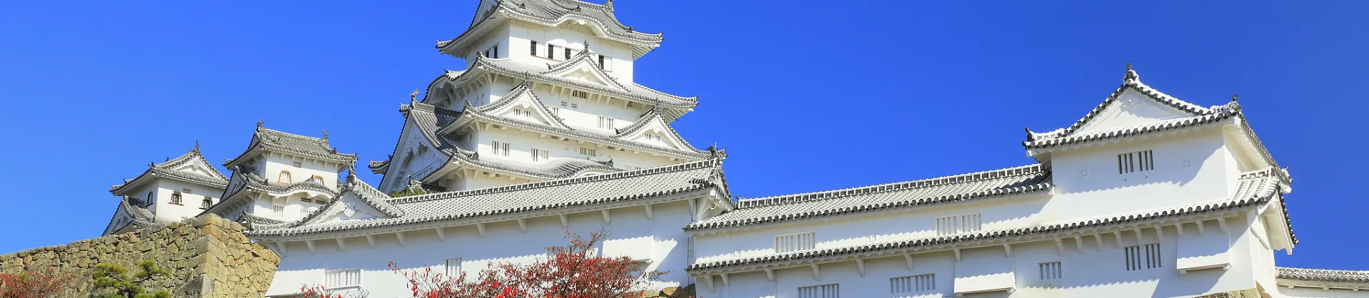Fall Viewing Attractions