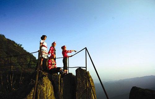 Zuye Flower Appreciation Platform