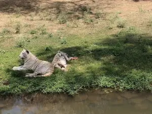 Maitri Bagh Zoo, bhilai, Chhattisgarh