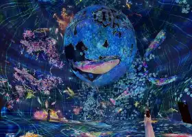 teamLab Phenomena Abu Dhabi