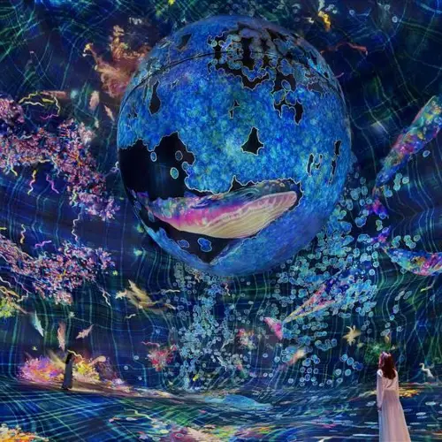 teamLab Phenomena Abu Dhabi