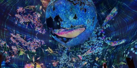 teamLab現像阿布達比