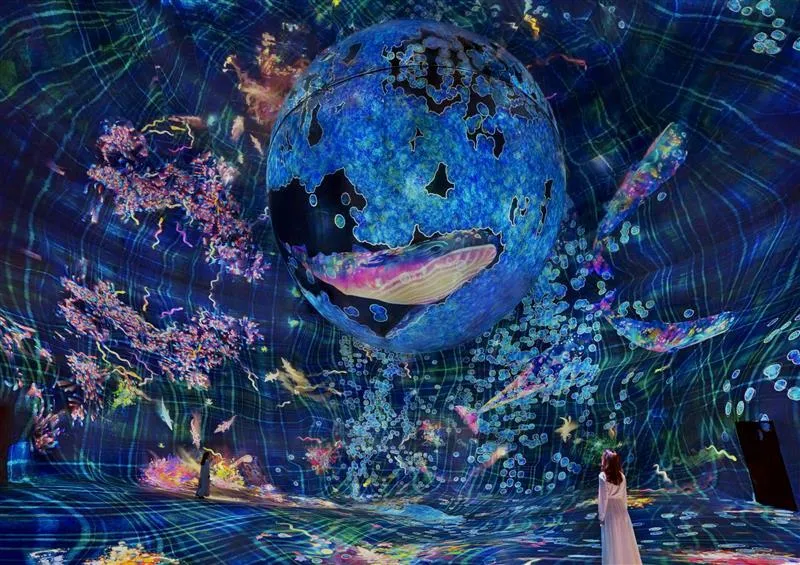 What is teamLab Phenomena Abu Dhabi