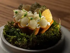 雅典 20 大奢華餐廳