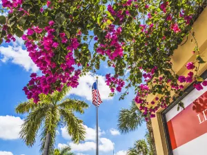 Little Havana