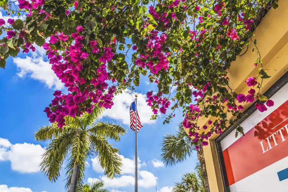 2_Little Havana
