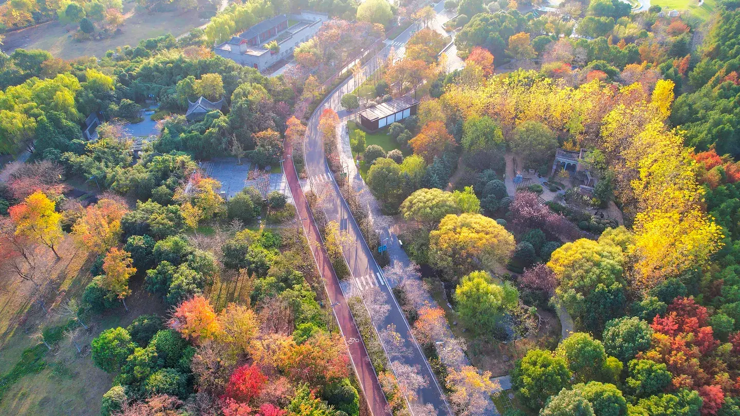2_Wuhan Garden Expo Park