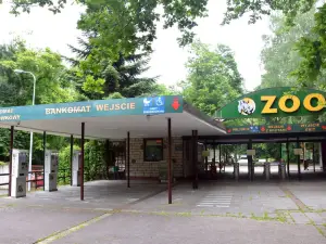 New Zoo