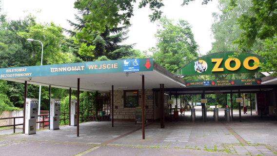 New Zoo