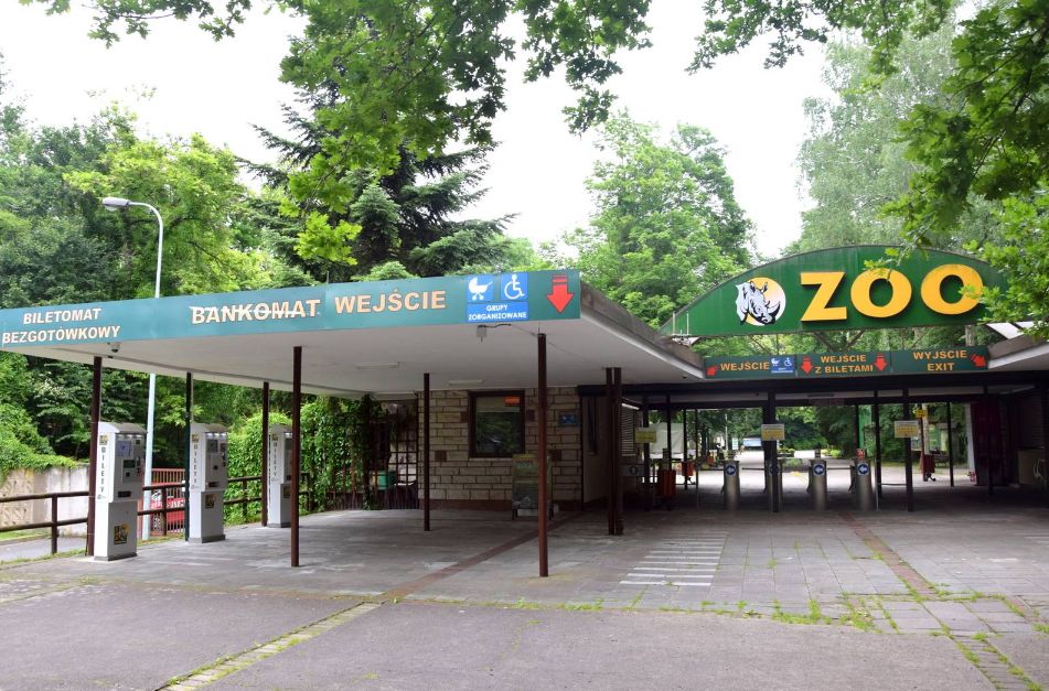 New Zoo