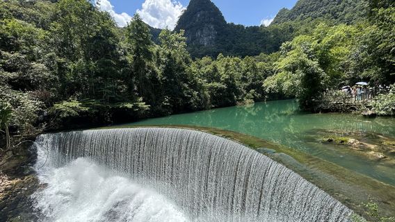 Wolong Pond