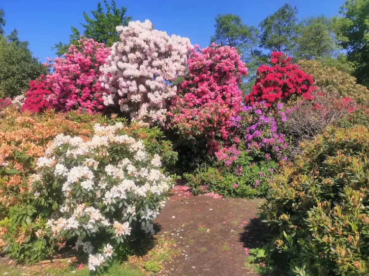 伯明翰熱門賞花踏青景點