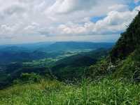 Truly out of this world’s parrot peak