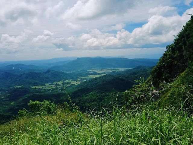 Truly out of this world’s parrot peak