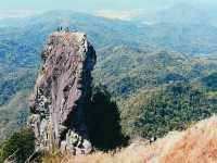 Truly out of this world’s parrot peak