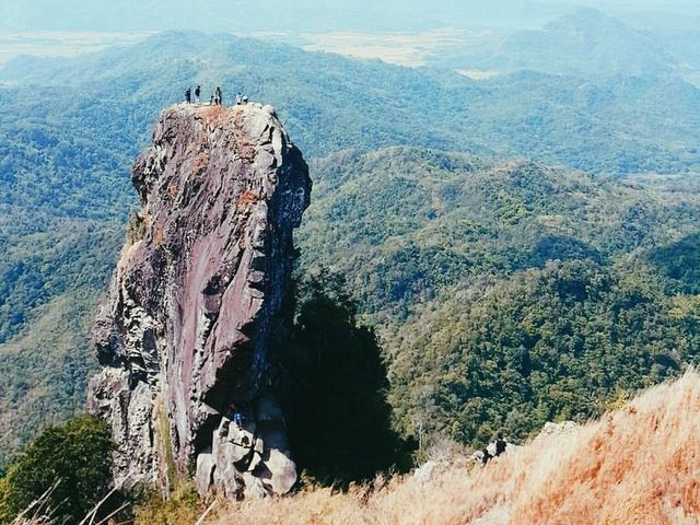 Truly out of this world’s parrot peak