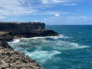 รับประทานอาหารกลางวันพร้อมชมวิวมหาสมุทรแอตแลนติก