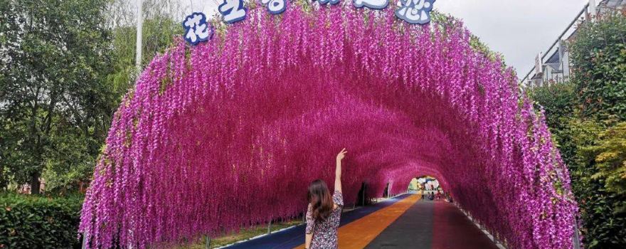 Valley of Flowers Adventure Park