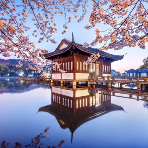 Breeze-Ruffled Lotus at Quyuan Garden