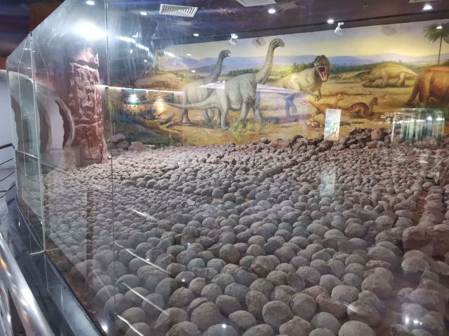 Heyuan City Museum (Heyuan Dinosaur Museum)